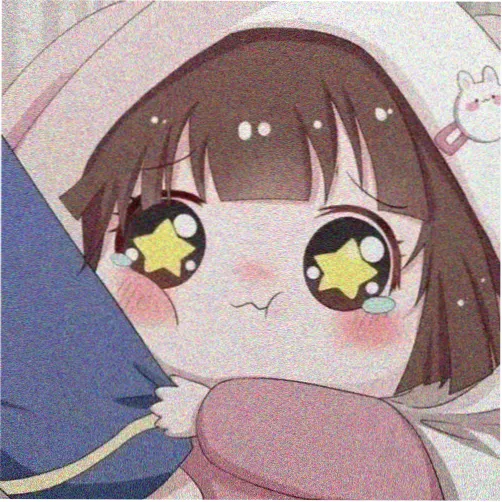 读者 南风不燥 头像